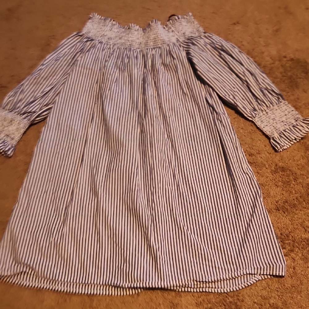 Forever 21 Blue and White Striped Dress - Picture 4 of 4